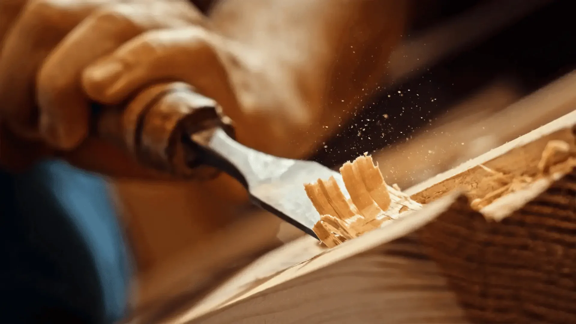 Close-up of chisel shaving wood curls